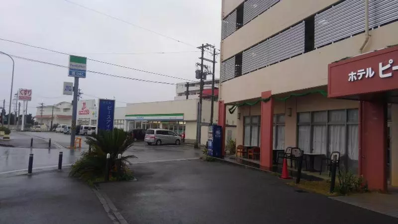 Fotos del hotel Peace Island Ishigaki In Yashima:  23