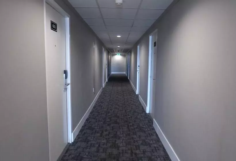 Fotos del hotel Hiseason:  10