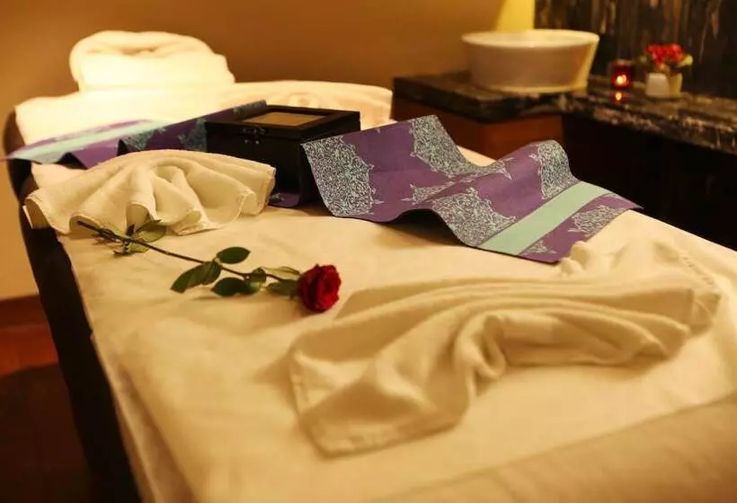 Fotos del hotel Pride Plaza , Aerocity New Delhi:  9