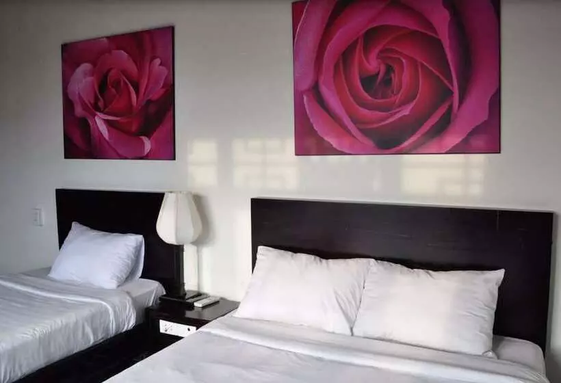 Fotos del hotel Thanh Binh Ii:  18