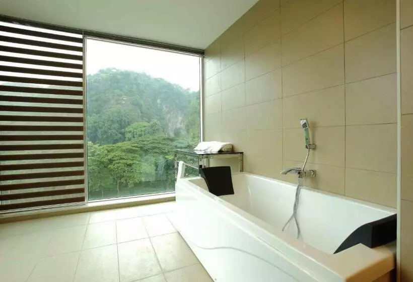 Fotos del hotel Symphony Suites:  3