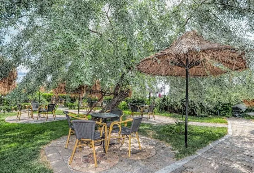 Fotos del hotel Chaika Beach Resort:  12