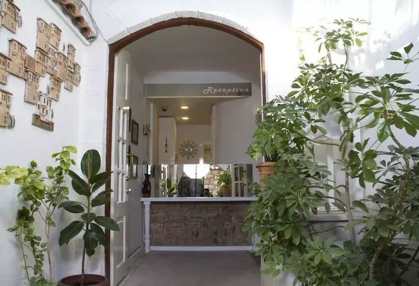 Fotos del hotel Kaleiçi Ozkavak:  16