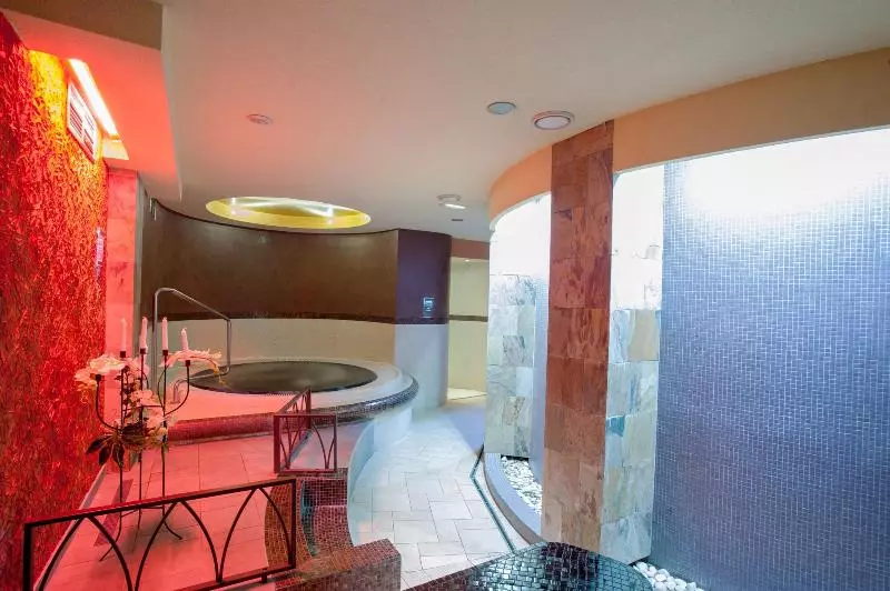 Fotos del hotel Magnus:  11