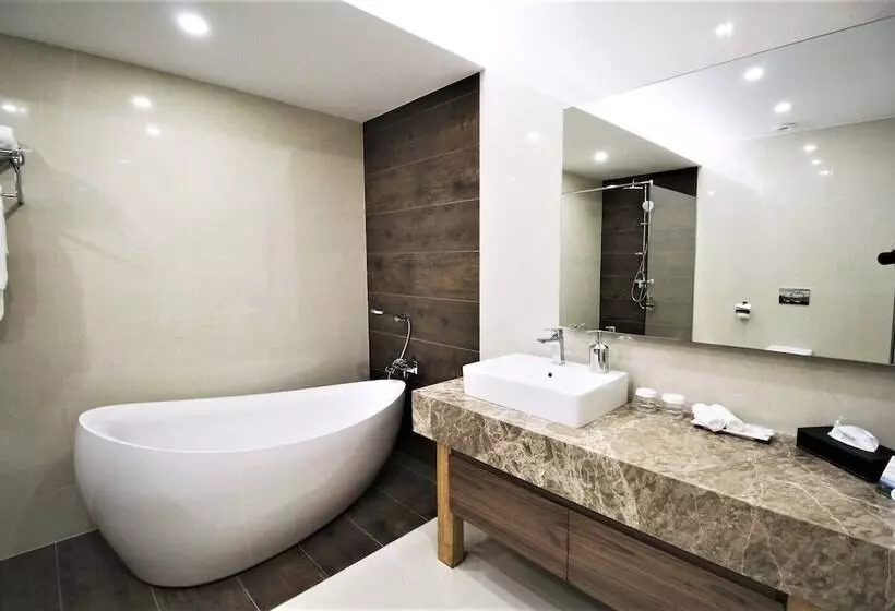 Fotos del hotel Magnus:  7