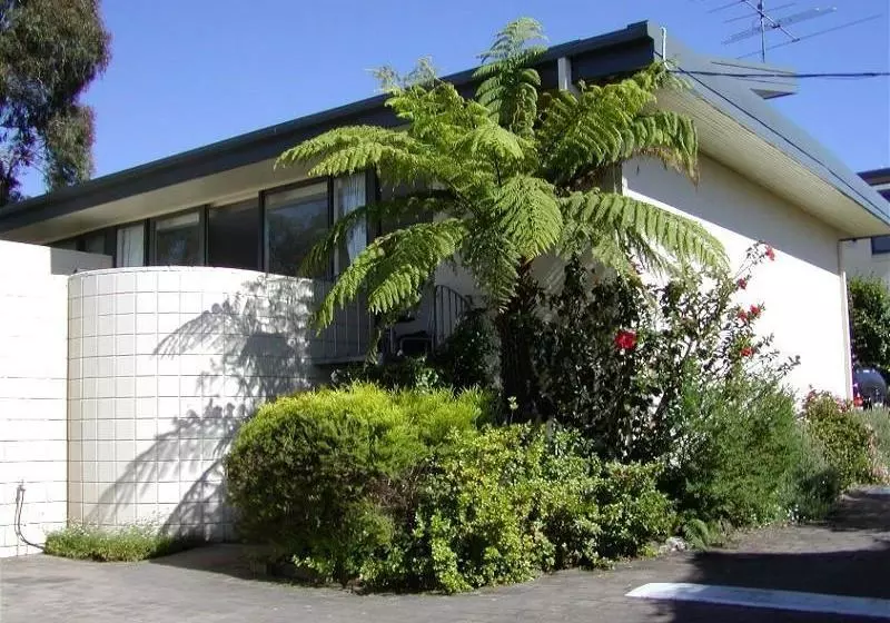 Fotos del hotel Penguin Mews:  7