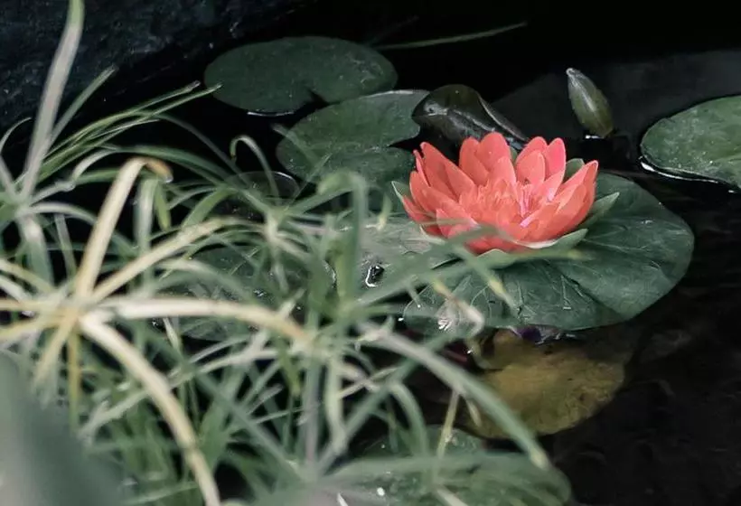 Fotos del hotel The Gallery Bed And Breakfast:  11