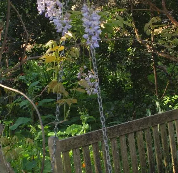 Fotos del hotel The Gallery Bed And Breakfast:  14