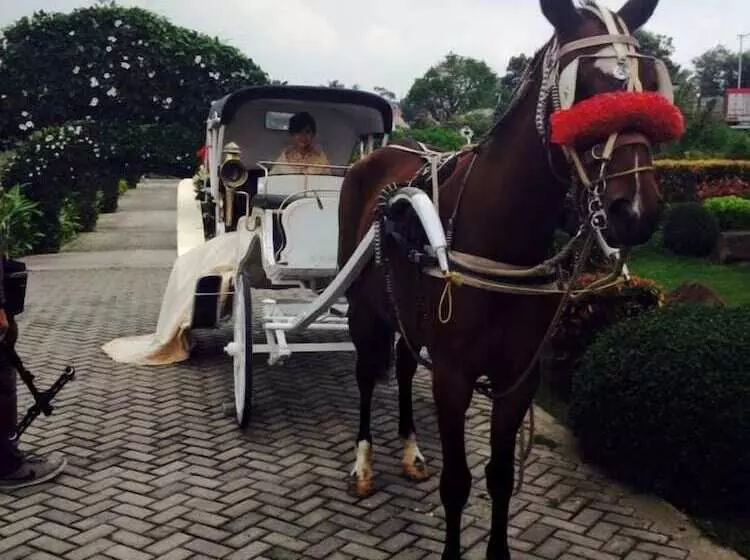 Fotos del hotel The Q Hotel & Restaurant:  6