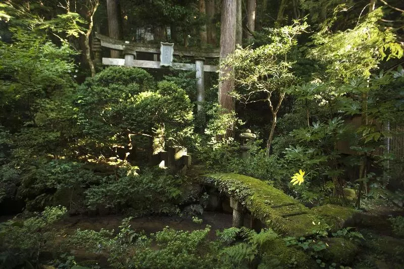 Fotos del hotel Motoyu Ishiya:  12