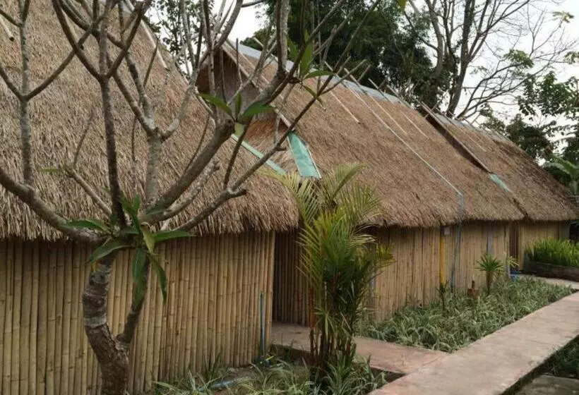 Fotos del hotel Pai Vintage Garden Resort:  18