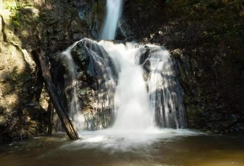 Fotos del hotel Pai Vintage Garden Resort:  4