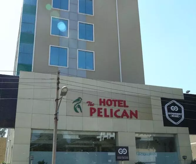 Fotos del hotel The Pelican:  7