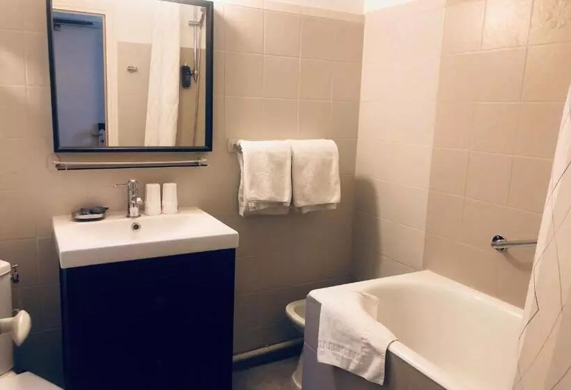 Fotos del hotel Hôtel Jeanne D Arc Le Marais:  6