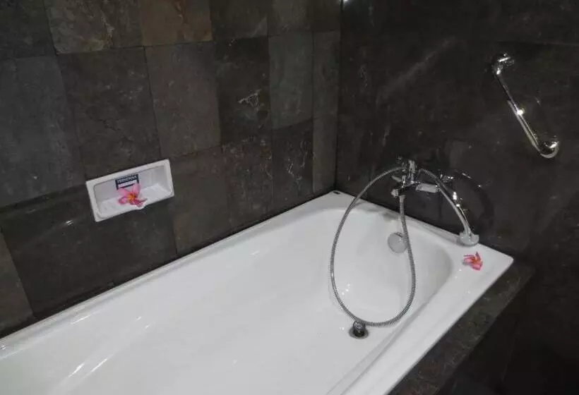 Fotos del hotel Swastika Guest House:  6