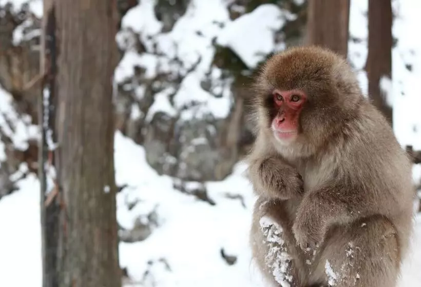 Fotos del hotel Aburaya Tousen:  8