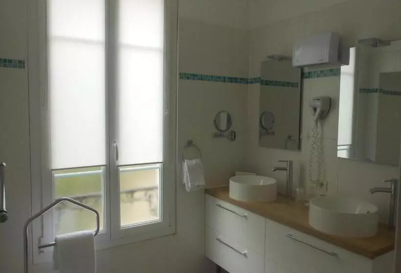Fotos del hotel Villa Les Cygnes:  13