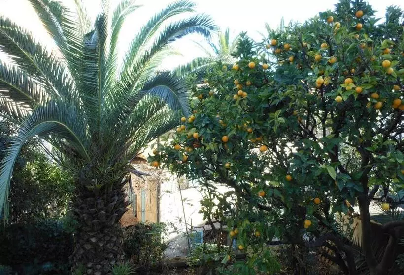 Fotos del hotel Villa Les Cygnes:  22