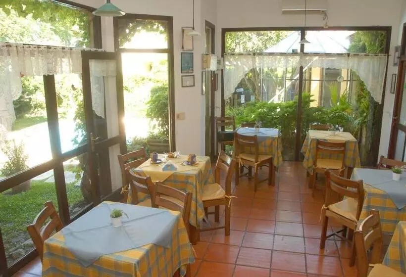 Fotos del hotel Posada Del Angel:  7