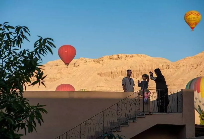 Fotos del hotel New Memnon:  5