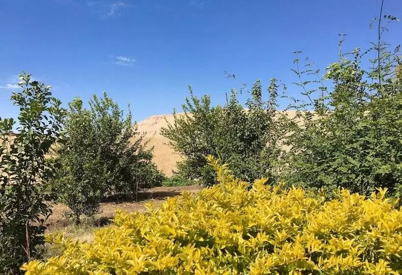 Fotos del hotel New Memnon:  8