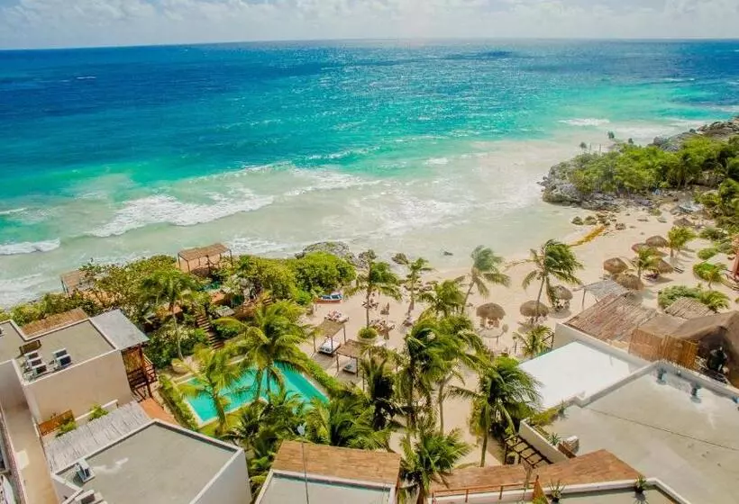 Fotos del hotel Maria Del Mar Tulum:  4