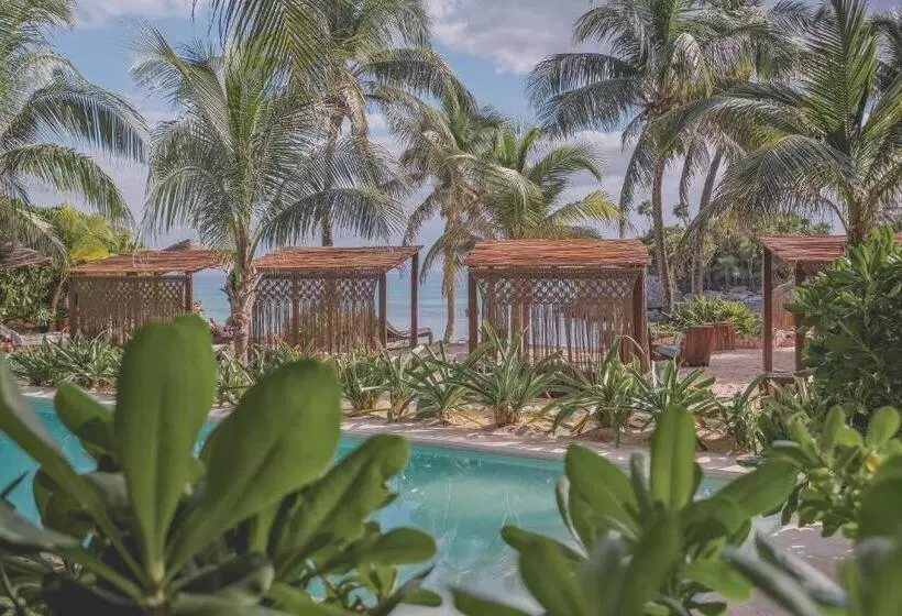Fotos del hotel Maria Del Mar Tulum:  12
