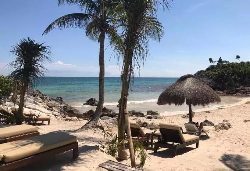 Fotos del hotel Maria Del Mar Tulum:  8