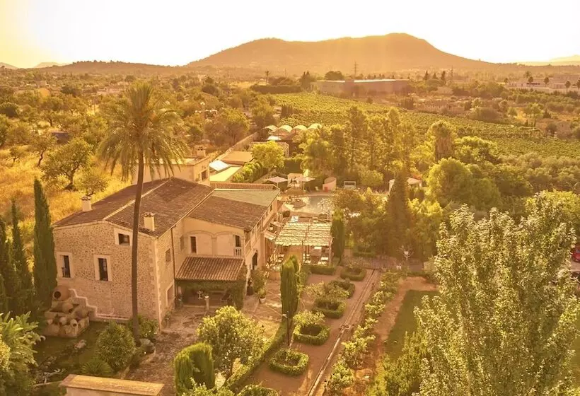 Fotos del hotel Sa Vinya Des Convent   Bodega:  3