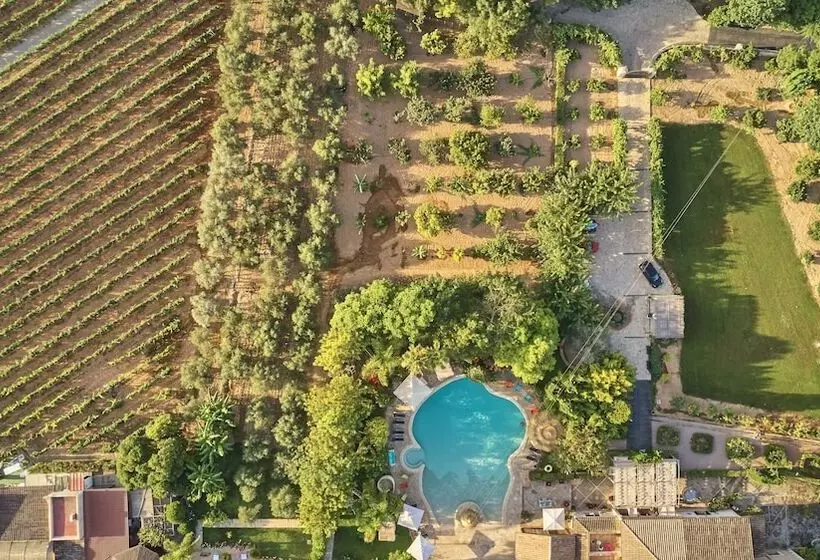 Fotos del hotel Sa Vinya Des Convent   Bodega:  6