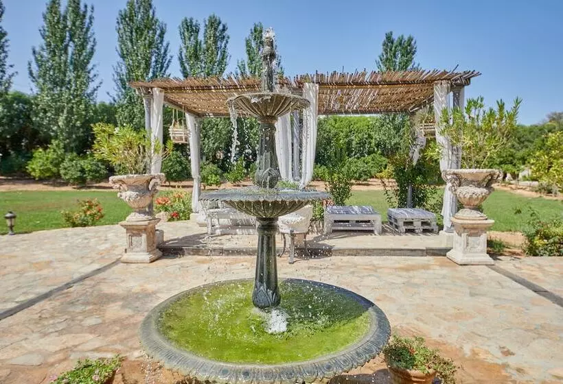 Fotos del hotel Sa Vinya Des Convent   Bodega:  10