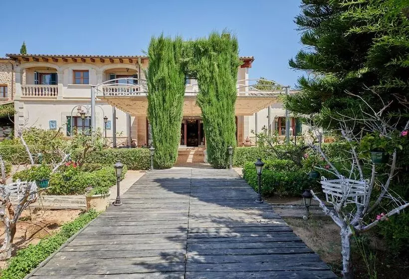 Fotos del hotel Sa Vinya Des Convent   Bodega:  14