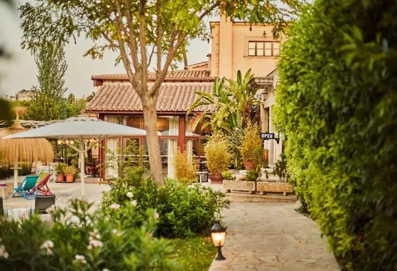 Fotos del hotel Sa Vinya Des Convent   Bodega:  12