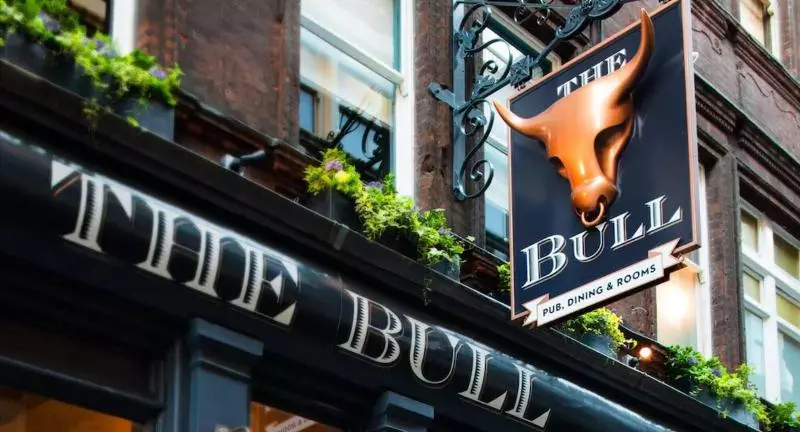 The Bull And The Hide