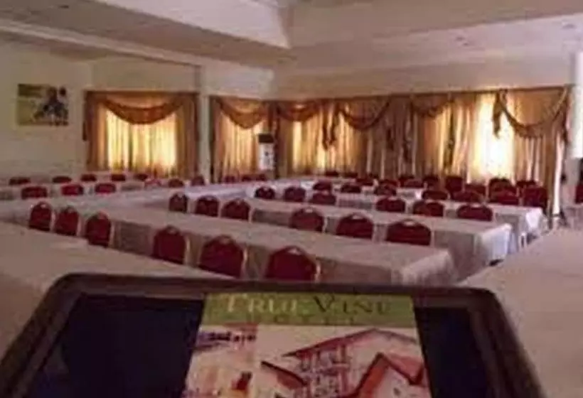 Fotos del hotel True Vine:  2