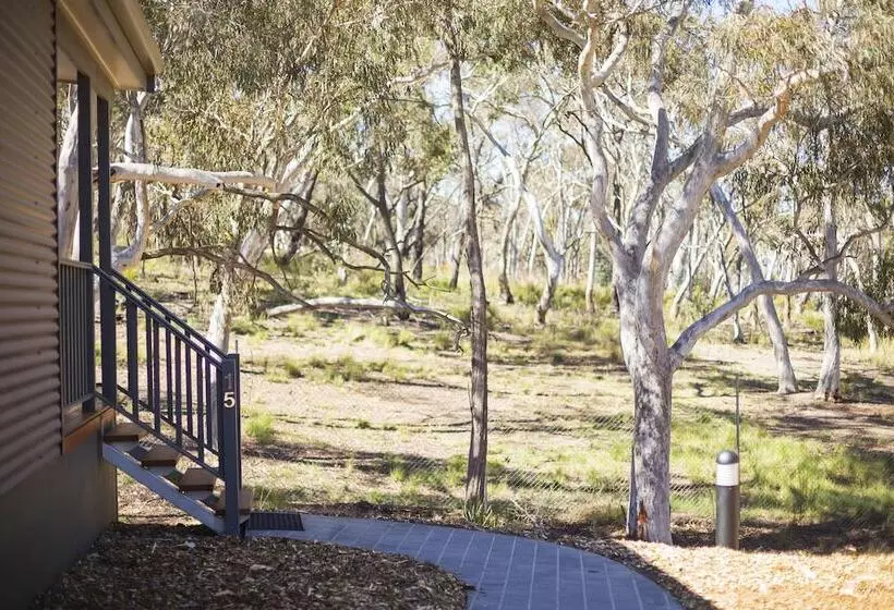 Fotos del hotel Alivio Tourist Park Canberra:  3