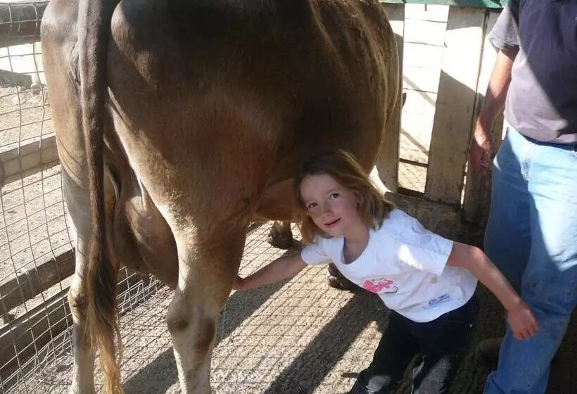Fotos del hotel Bestbrook Mountain Farmstay:  5