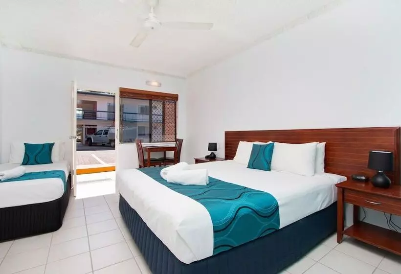 Cairns City Palms