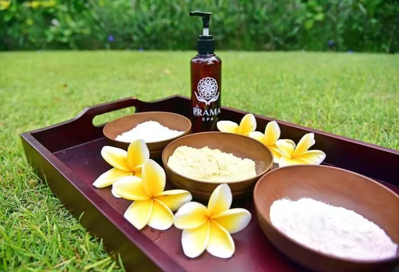 Fotos del hotel Prama Sanur Beach Bali:  10