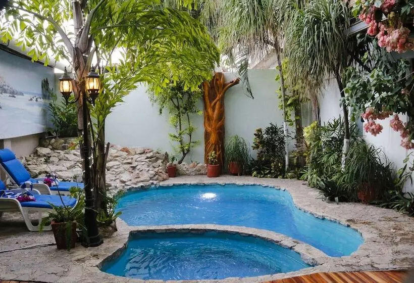 Fotos del hotel Careyes Puerto Escondido:  12