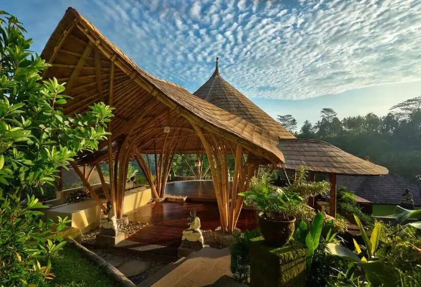 Fotos del hotel Jannata Resort And Spa:  25
