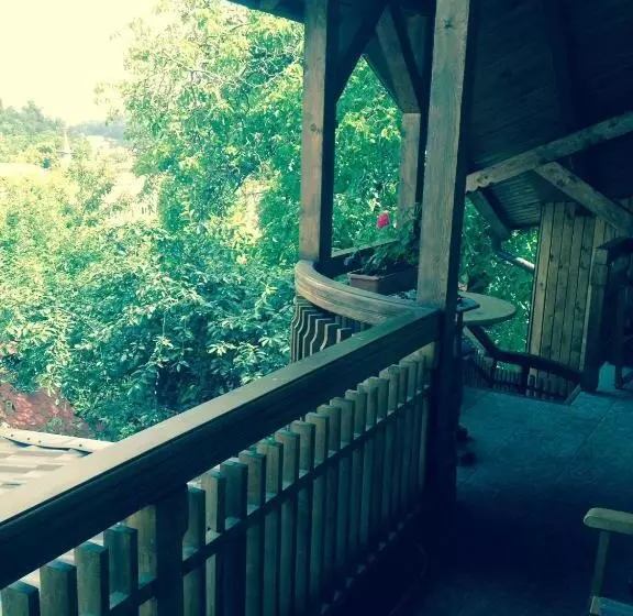 Fotos del hotel Pension Brasovu Vechi:  2