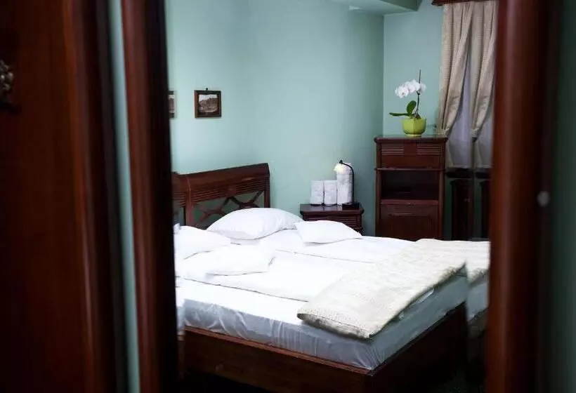Fotos del hotel Pension Brasovu Vechi:  16