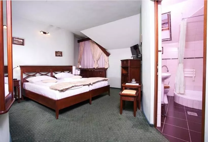 Pension Brasovu Vechi