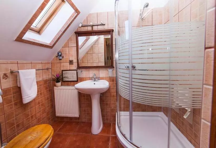 Fotos del hotel Pension Brasovu Vechi:  11