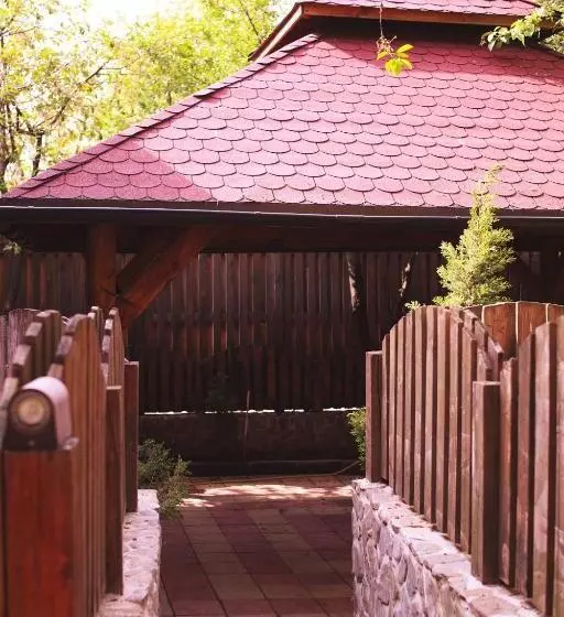 Fotos del hotel Pension Brasovu Vechi:  8