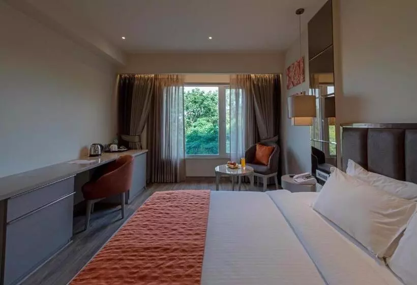 Fotos del hotel Saket 27:  17