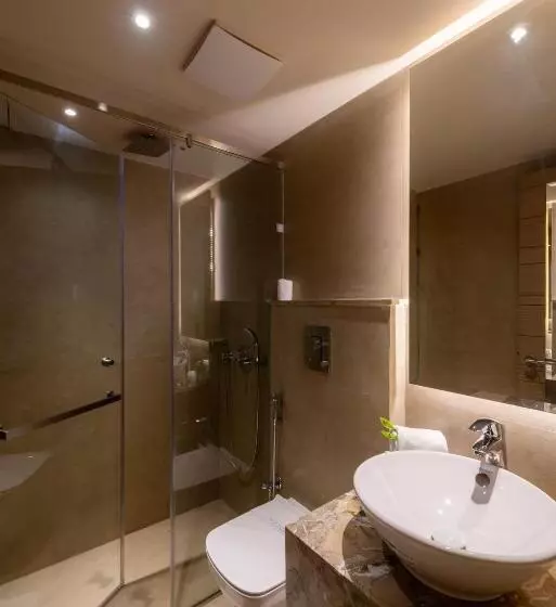 Fotos del hotel Saket 27:  5