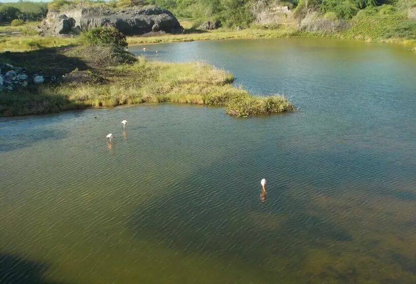 Fotos del hotel Paraiso De Isabela:  21