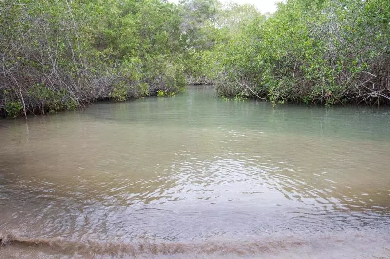 Fotos del hotel Paraiso De Isabela:  2